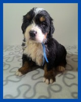 /album/a4-tyzden-4th-week/kolaz-iv-1-jpg/